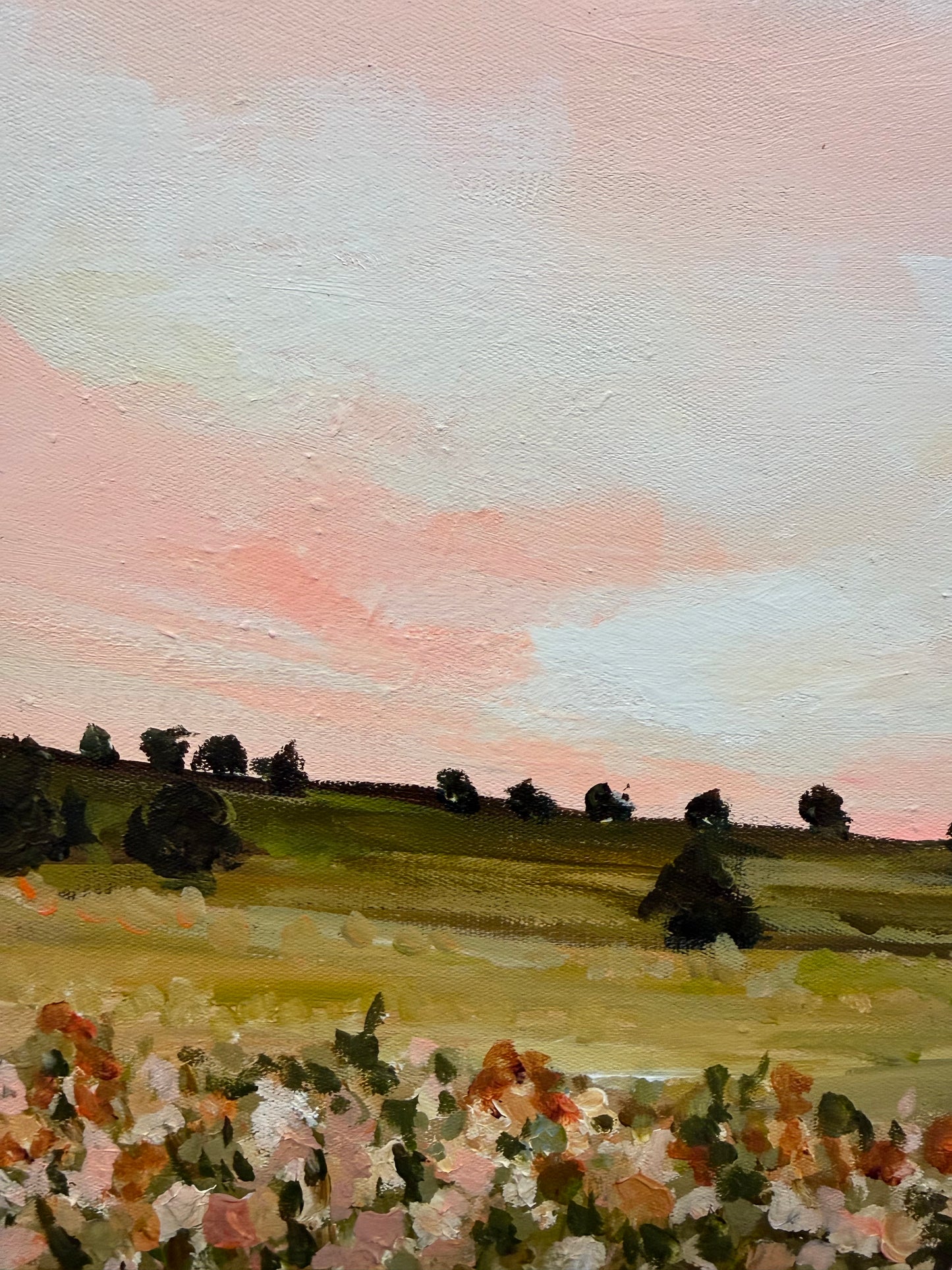 Pink Sky Paddock