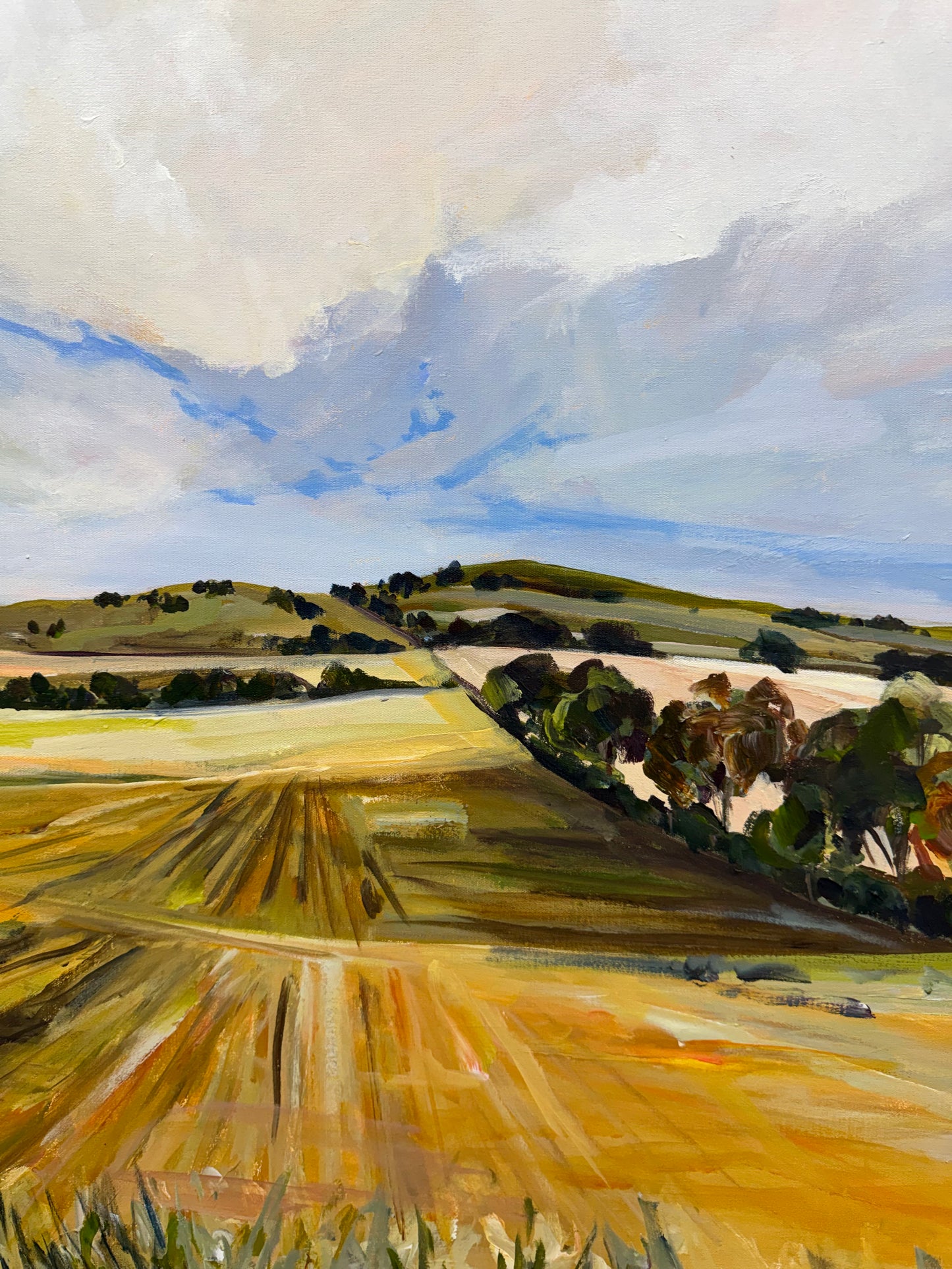 Crop Lines
