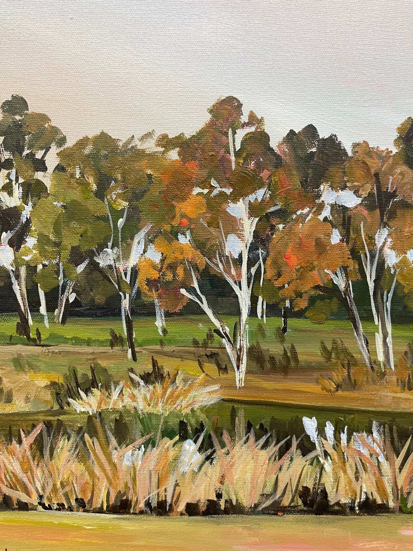 Lagoon Reeds I