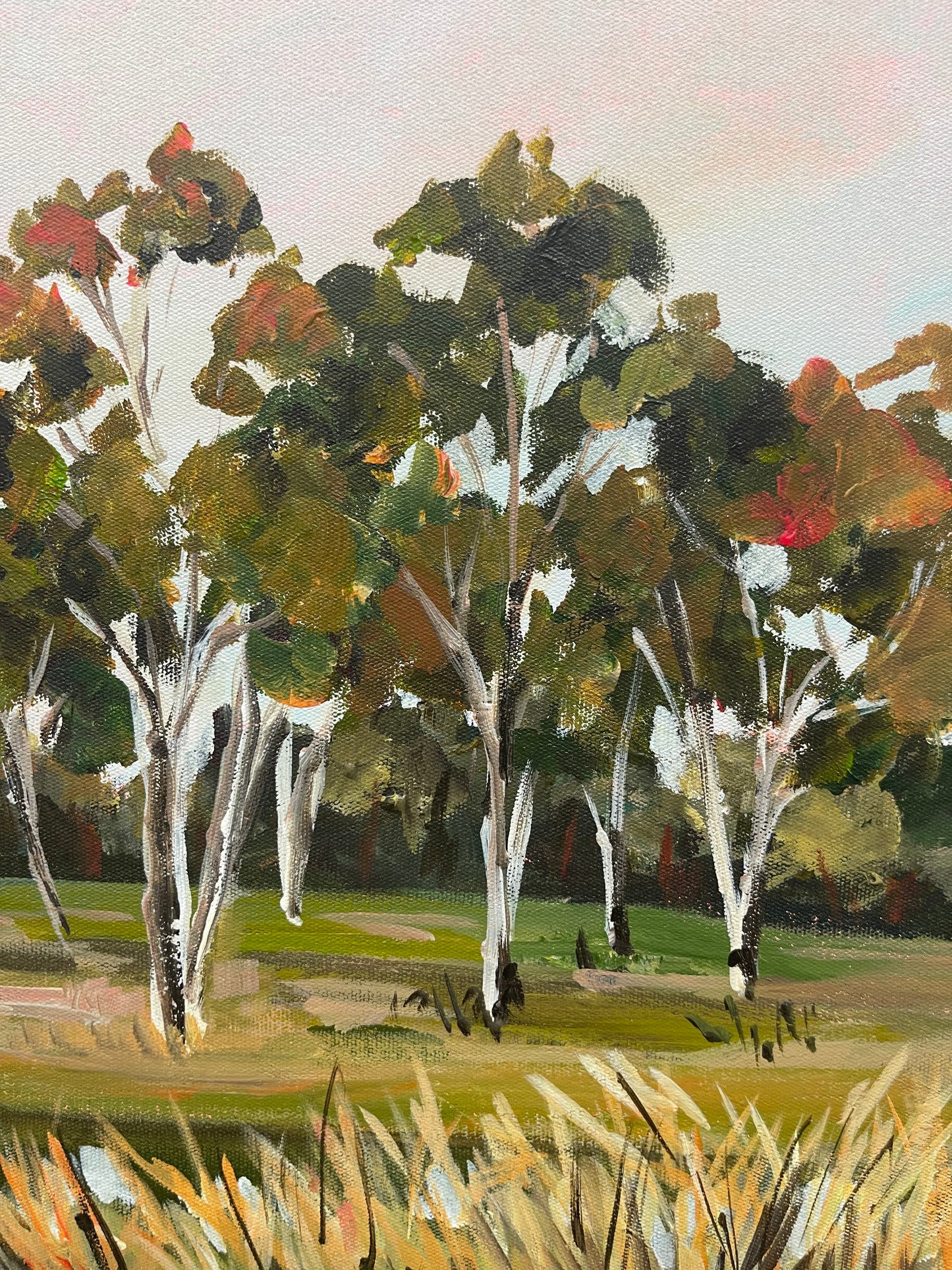 Lagoon Reeds II