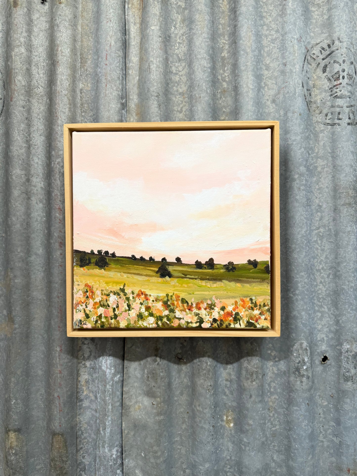 Pink Sky Paddock