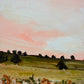 Pink Sky Paddock