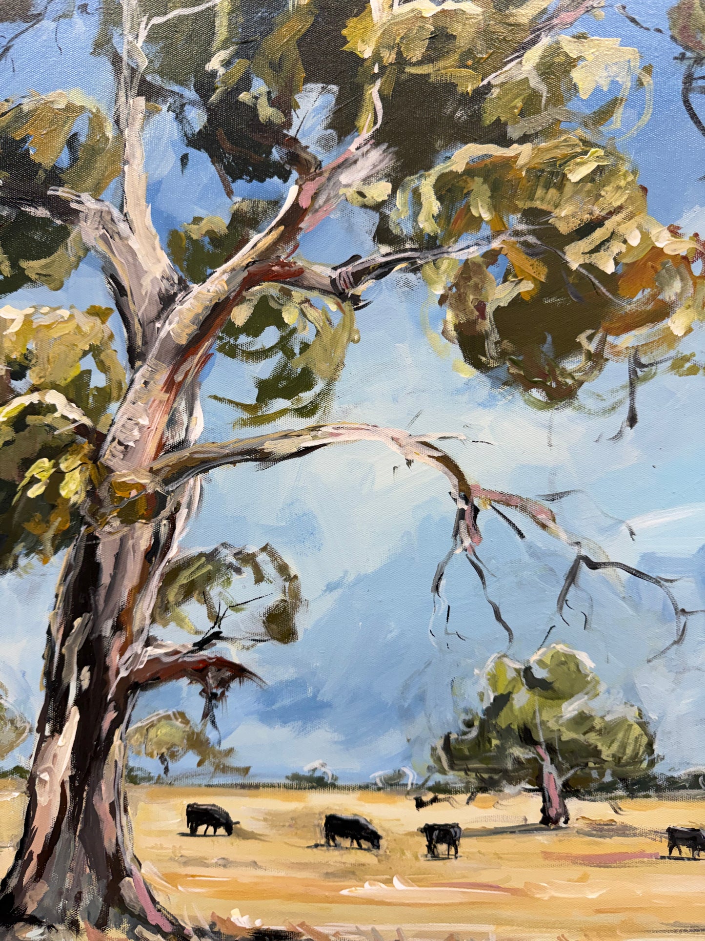 The Back Paddock